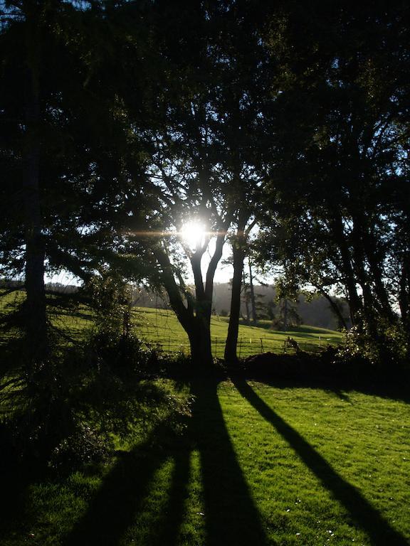 The Mount Somerset Taunton Bagian luar foto