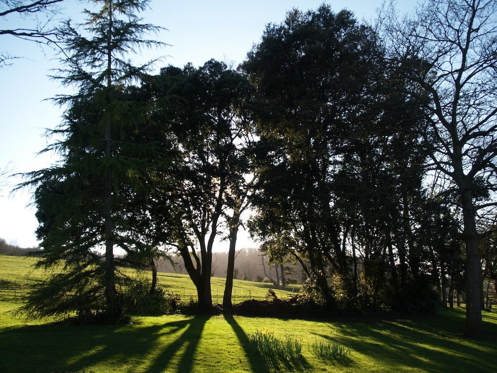 The Mount Somerset Taunton Bagian luar foto